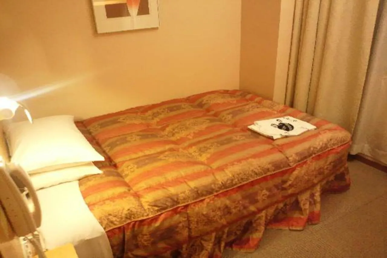 Hotel Grand Hill Ichigaya Τόκιο 3*,  Ιαπωνία